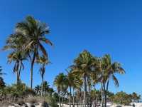 Laid Back Day At Crandon Park