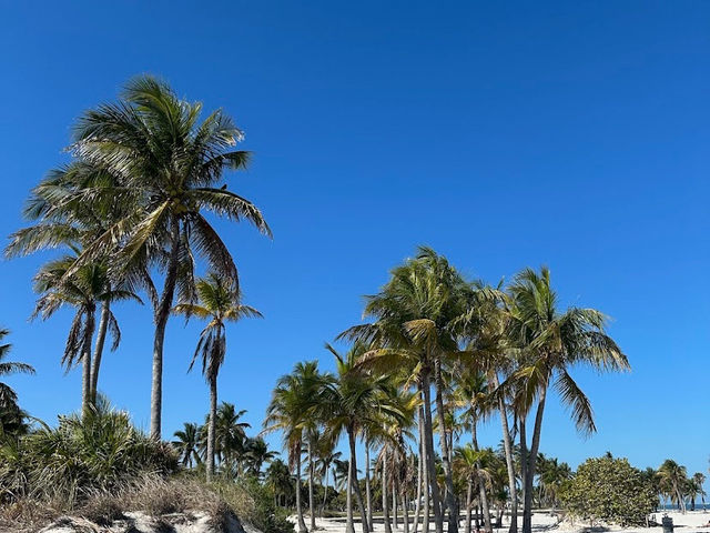 Laid Back Day At Crandon Park