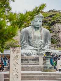 🧘‍♂️静寂と歴史が息づく「鎌倉大仏」で心整うひととき