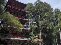 A Grand welcome to Toshogu Shrine, the Omotemon and the Gojunoto Five Story Pagoda