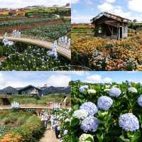8 พิกัดเที่ยวดาลัด เมืองกลางหุบเขาอากาศดีตลอดปี