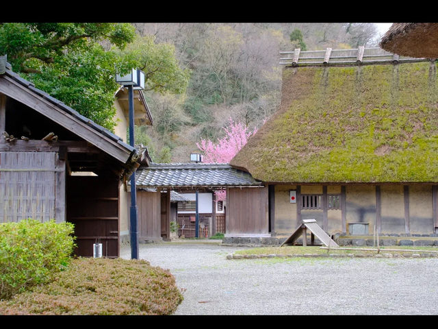 【おさごえ民家園で江戸時代にタイムスリップ】福井の暮らしを感じる旅🏡🕰️