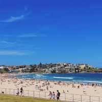  Bondi Beach หาดที่มีชื่อเสียงระดับโลก!