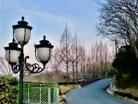 青山花園度假村酒店 GARDEN RESORT HOTEL ROSA BLANCA 住ㄧ晚