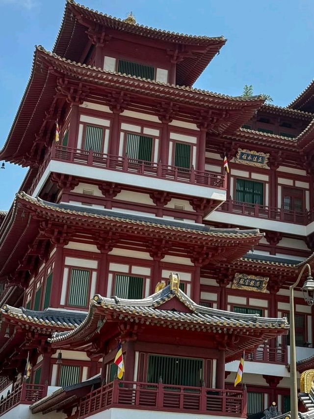 🇸🇬✨ Explore Singapore – Top Attractions You Can’t Miss! 🌆🌸