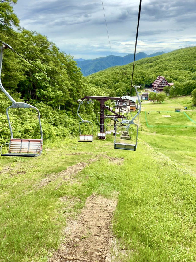 ♨️🏔️ Zao Onsen (蔵王温泉): A Winter & Summer Wonderland in Yamagata