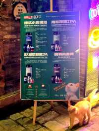 Shopping on the Dreamlights of Gubei Water Town