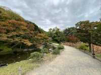 Peace & Pines at Ritsurin Garden