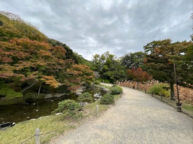 Peace & Pines at Ritsurin Garden