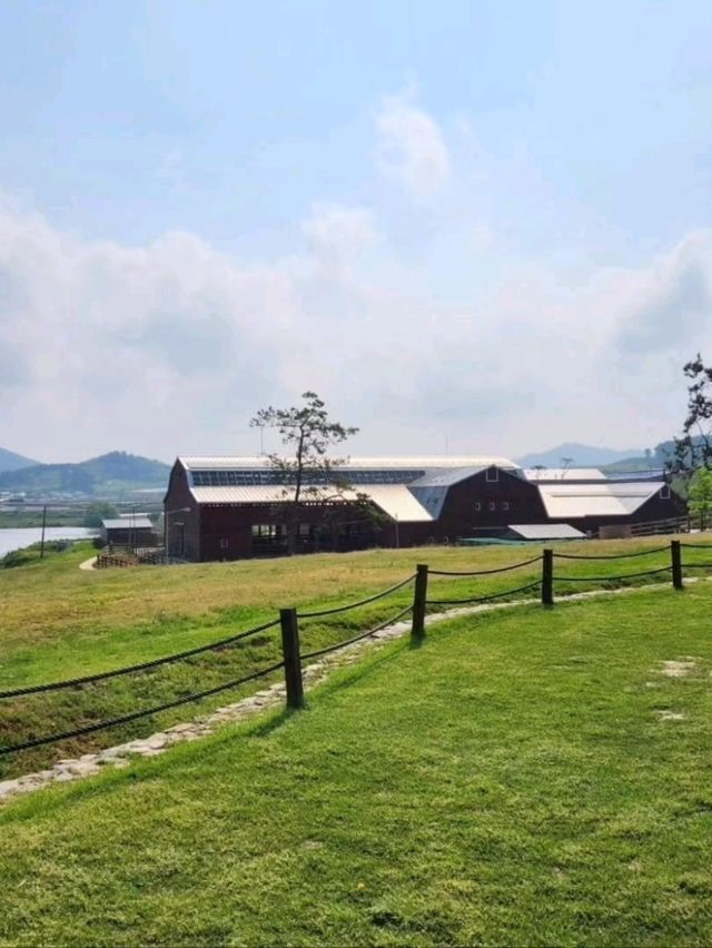 Cutest Farm Day Ever at Sanghafarm