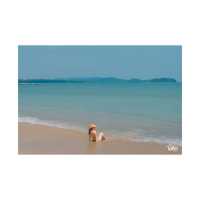 🌴Kalima Resort & Villas Khao Lak ที่พักริมทะเล