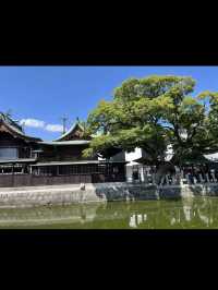【水の都で癒しのひととき🌿】【水の都で癒しのひととき🌿】柳川の川下りで心ほどける旅の川下りで心ほどける旅