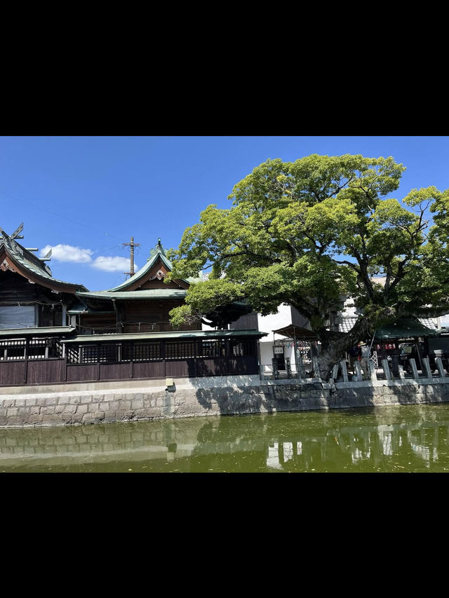 【水の都で癒しのひととき🌿】【水の都で癒しのひととき🌿】柳川の川下りで心ほどける旅の川下りで心ほどける旅