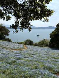 【福岡の隠れ楽園🌺】能古島でのんびり島時間を満喫しよう