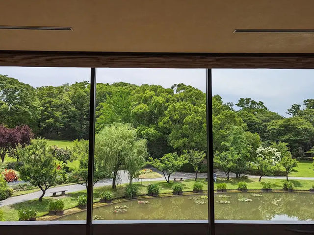 【アートと緑の静寂時間🖼️】久留米市美術館で心を整える美の旅
