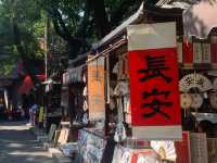 Xi'an Solo City Walk: A Relaxed Exploration 🚶‍♀️🌸