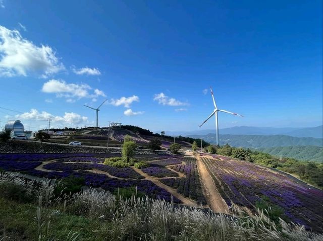 Wind, Hills, and Major Vibes at Gamaksan Wind Farm