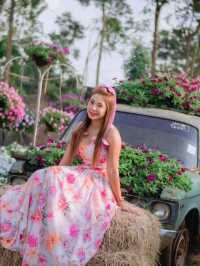  Maple Gardens กาญจนบุรี