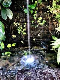 The Wonder of the Sunken Garden, Japanese Gardens