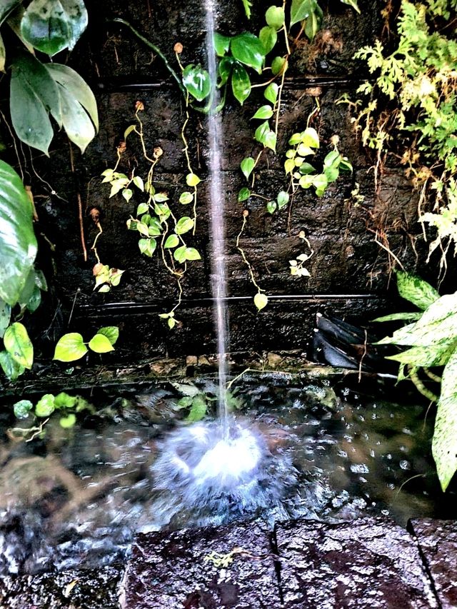 The Wonder of the Sunken Garden, Japanese Gardens