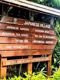 The world's first Japanese Tea House in a Tropical Forest