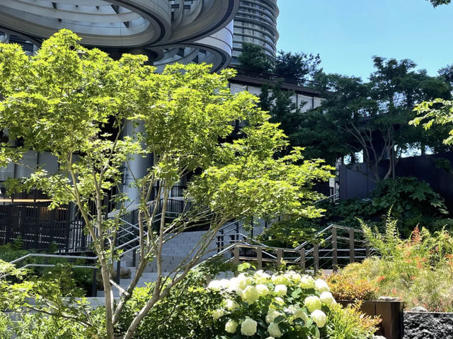 Getting Lost (Happily!) in Azabudai Hills, Tokyo! 🇯🇵🗼