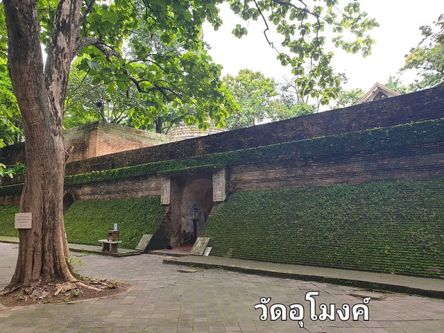 รวมพิกัดที่เที่ยวที่กินในเชียงใหม่