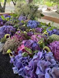 【北九州観光】月に2回入れ替わる花手水に癒される❁⃘