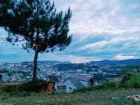 Enjoy the cool breeze in the summer of Dalat 🌲