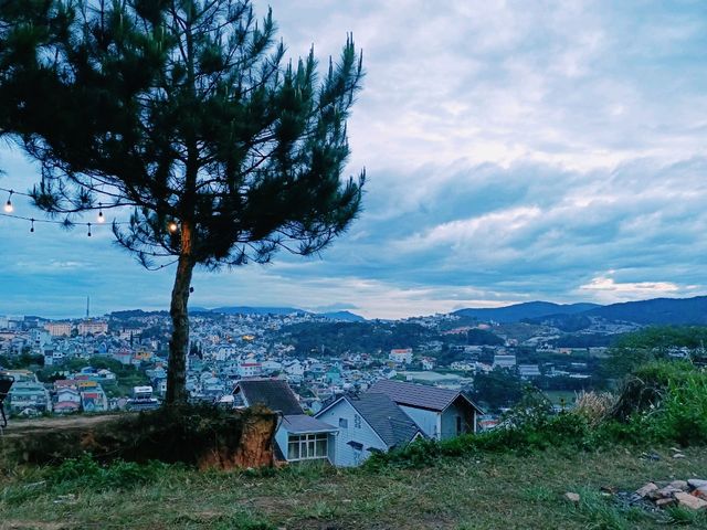 Enjoy the cool breeze in the summer of Dalat 🌲