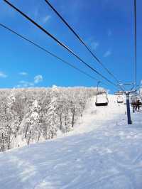 【北海道】カムイスキーリンクス