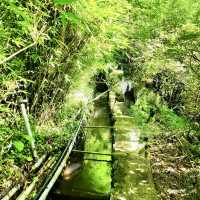 頂湖社區-草山瀑布-猴崁水圳步道-竹子湖歡樂行