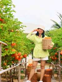 Move to Mountain Garden Cafe