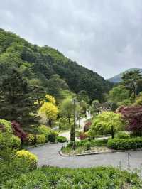 可能係全韓國最靚嘅花園！晨靜樹木園：四季都美到不像話💐💫