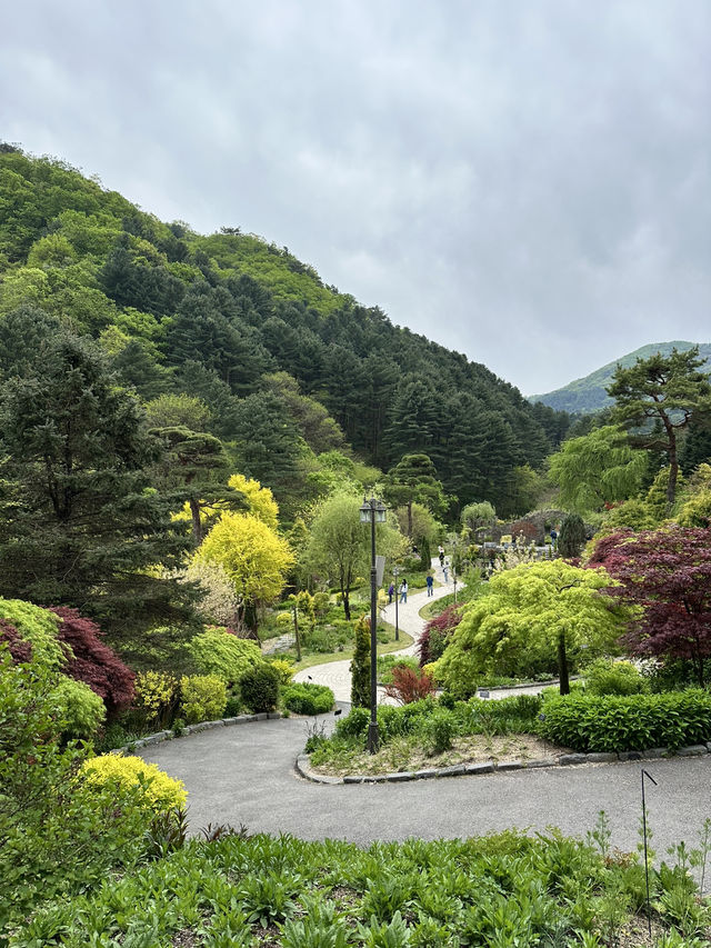 可能係全韓國最靚嘅花園！晨靜樹木園：四季都美到不像話💐💫