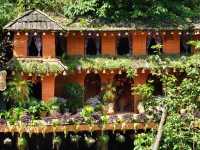 catcat village