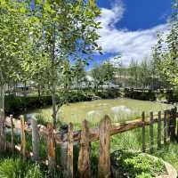🐟 Litang Highland Fish Restaurant – A Cozy Pit Stop in the Sky
