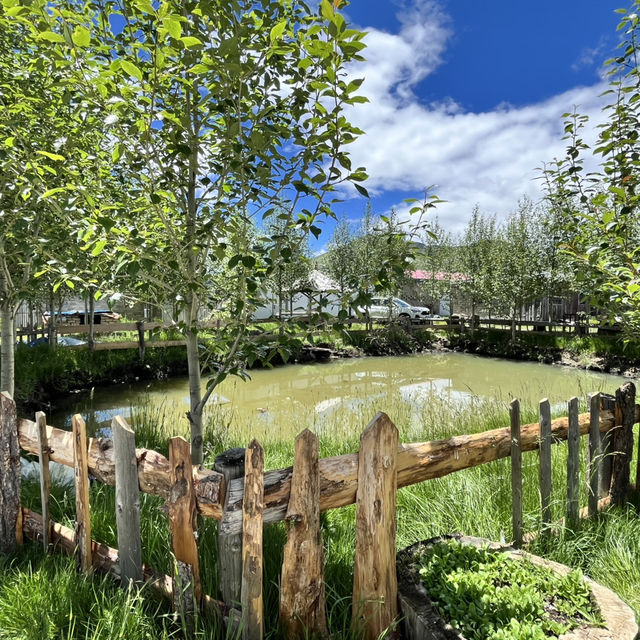 🐟 Litang Highland Fish Restaurant – A Cozy Pit Stop in the Sky