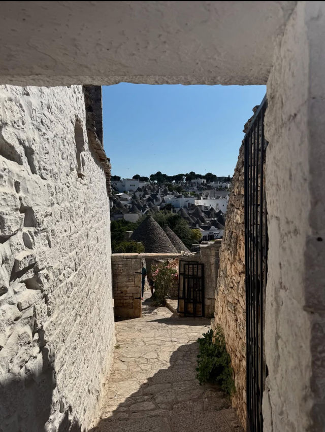 【おとぎ話の世界へ】アルベロベッロでトゥルッリの街並みに癒される旅🏡✨
