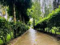 Royal Tiger Luxury Resort sauraha Chitwan Nepal 