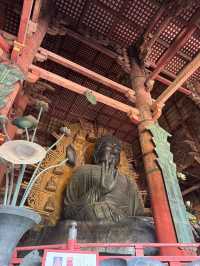 Serenity and History at Todaiji Temple 