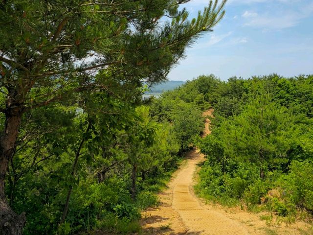 국내여행 우리나라 최북단의 작은 산 응봉 