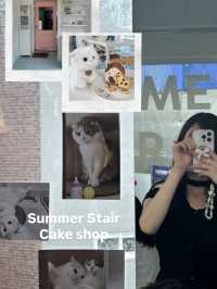 韓国/ソウル【サダン】Summer Stair Cake shop