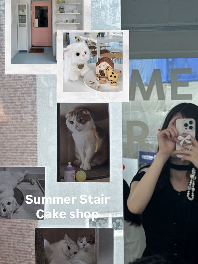 韓国/ソウル【サダン】Summer Stair Cake shop