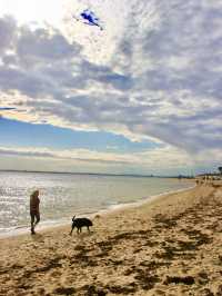 Stripes, Sand & Skyline: A Postcard Stroll at Brighton Beach