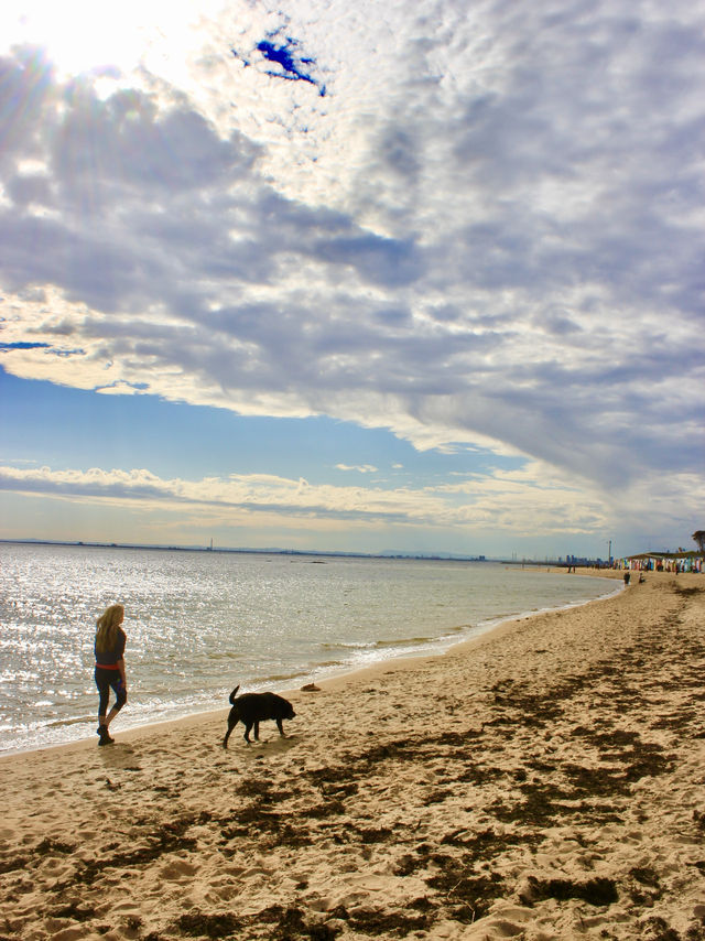 Stripes, Sand & Skyline: A Postcard Stroll at Brighton Beach