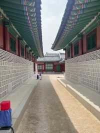 🇰🇷韓国行くなら絶対に行くべき景福宮