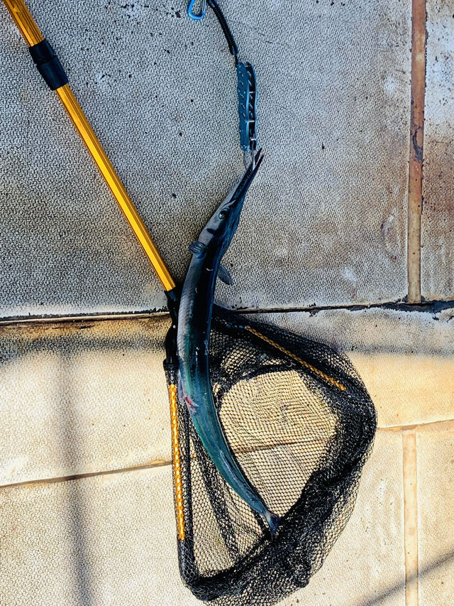 沖繩水納島海屋釣魚：海上木筏的悠閒漁樂體驗