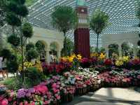 Global Gardens in One Dome