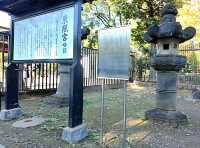 An assembly of Stones, the Stone lanterns of Ueno Toshogu Shrine